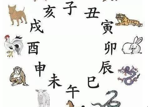 子鼠 丑牛 寅虎 卯兔 辰龙 巳蛇 午马 未羊|Chinese animal zodiac signs